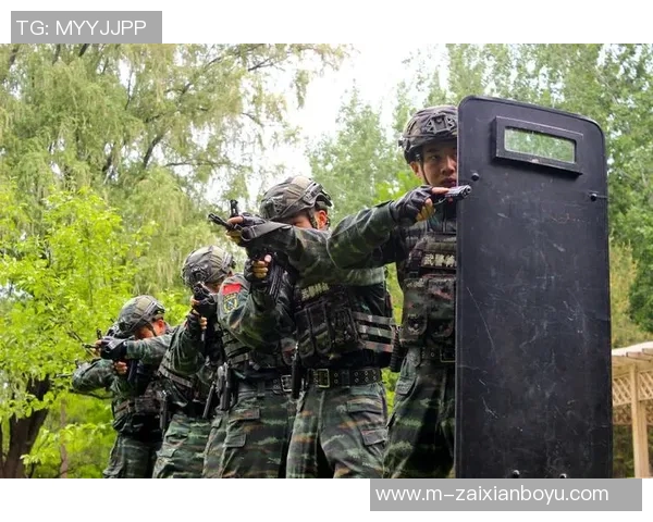 2026年3月份新闻聚焦CSGO深入探讨V5战队的团队配合与战术策略